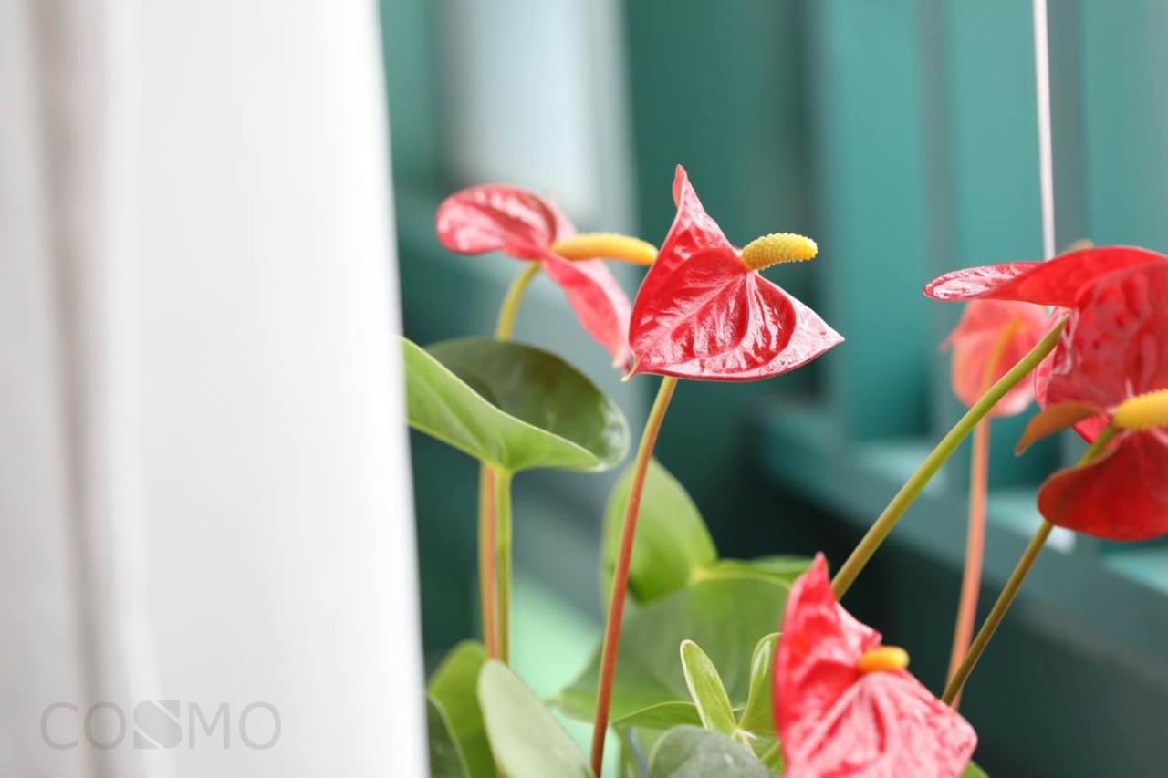 Shanghai Cosmo World Union Service Apartment 외부 사진